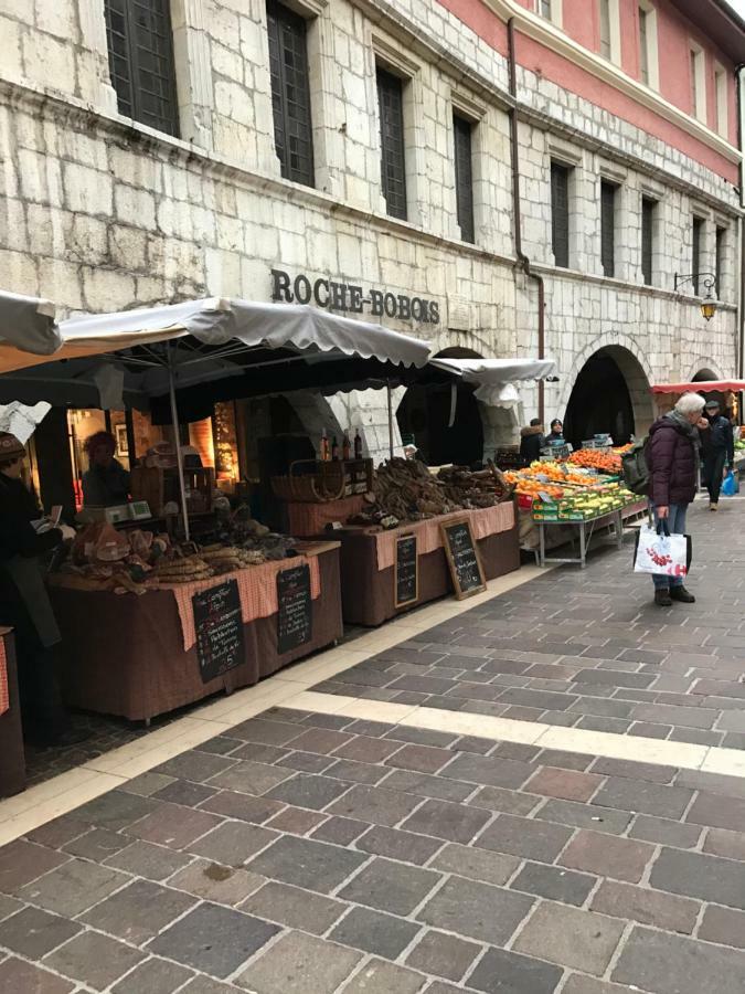 La Perle De La Vieille Ville D'Annecy Daire Dış mekan fotoğraf